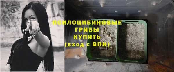 тгк Верея