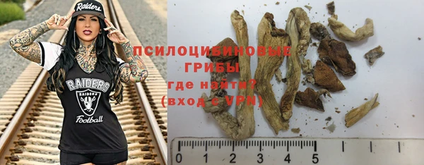 PSILOCYBIN Верхнеуральск